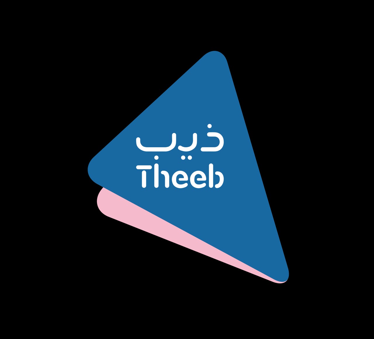 شركة ذيب لتأجير السيارات
